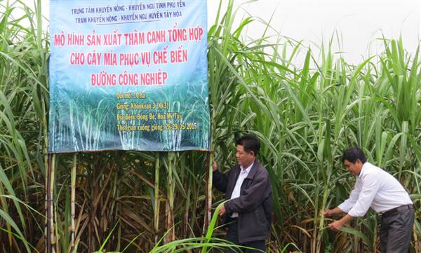 ຫວຽດນາມເປັນເຈົ້າພາບຈັດຕັ້ງກອງປະຊຸມລັດຖະມົນຕີກະຊວງສະຫະກອນພາກພື້ນອາຊີ, ປາຊີຟີກ